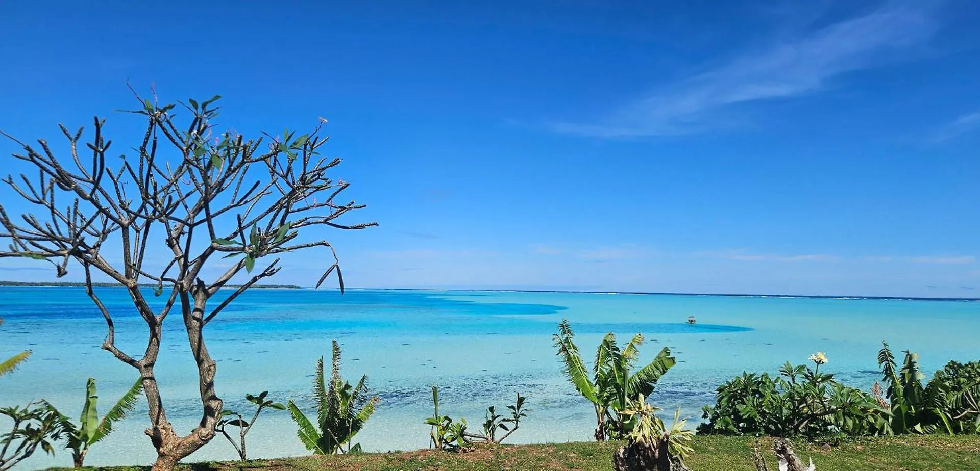 Taria Camping Te-Fare-Arii