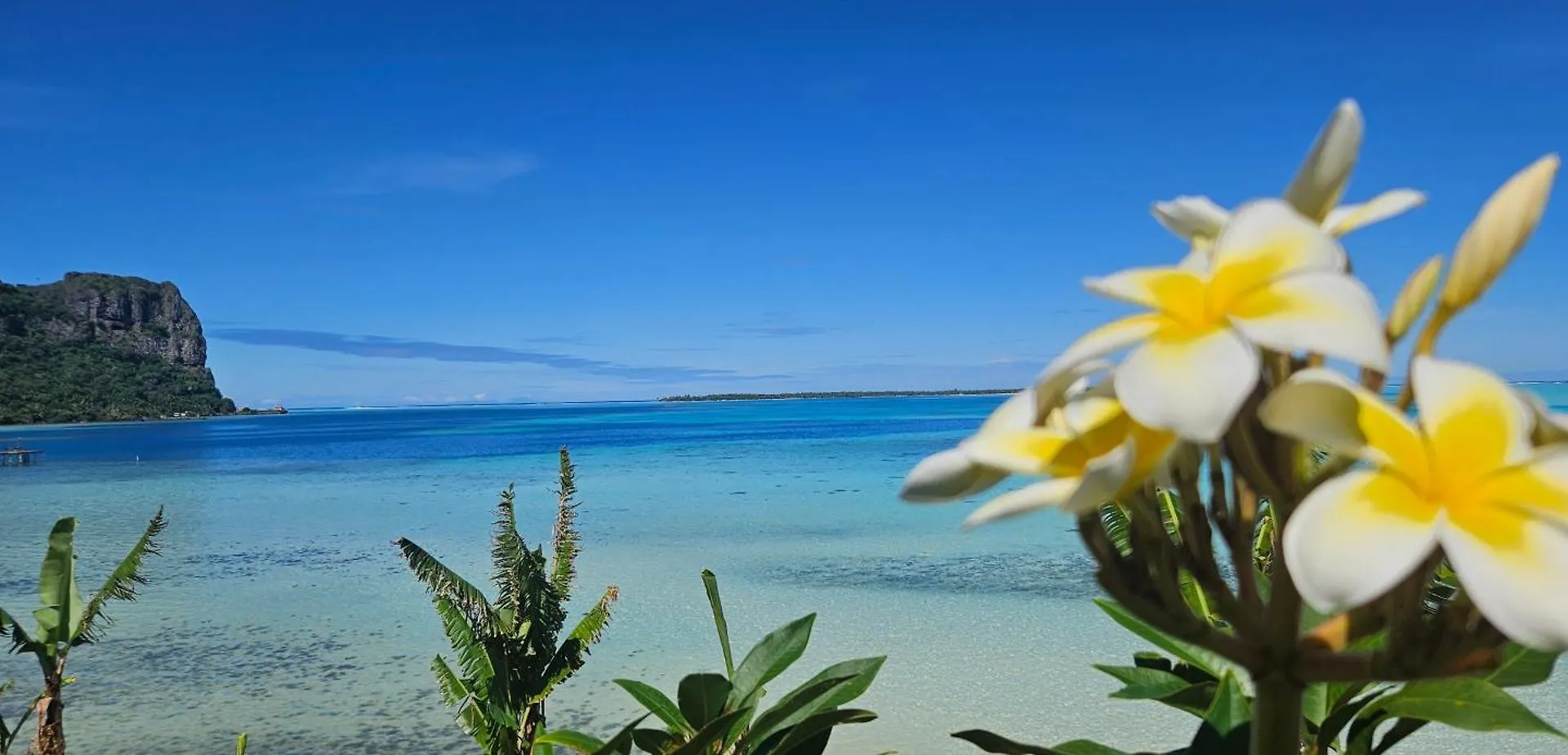 Campsite Taria Camping Te-Fare-Arii French Polynesia